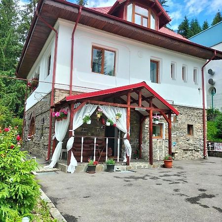 Casa Olguta Appartement Sinaia Buitenkant foto