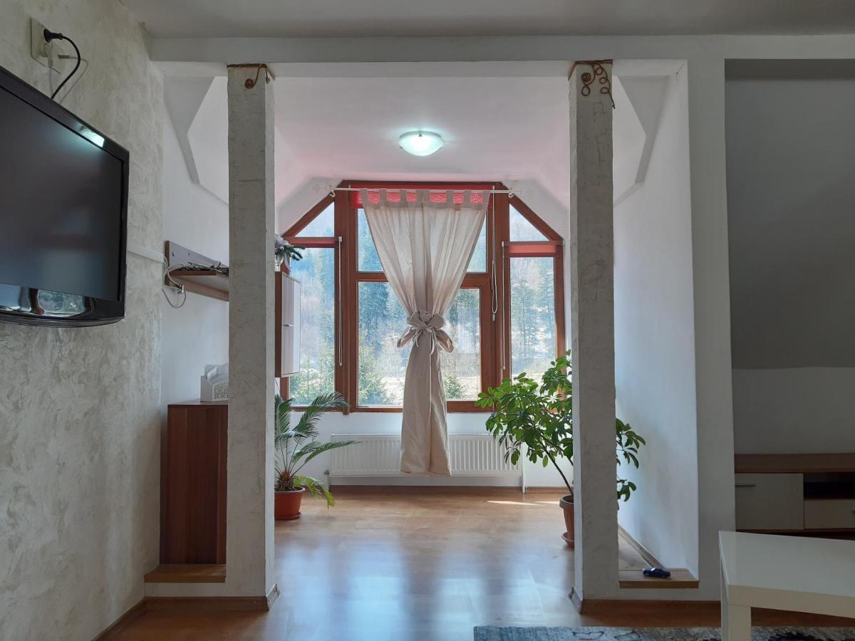 Casa Olguta Appartement Sinaia Buitenkant foto