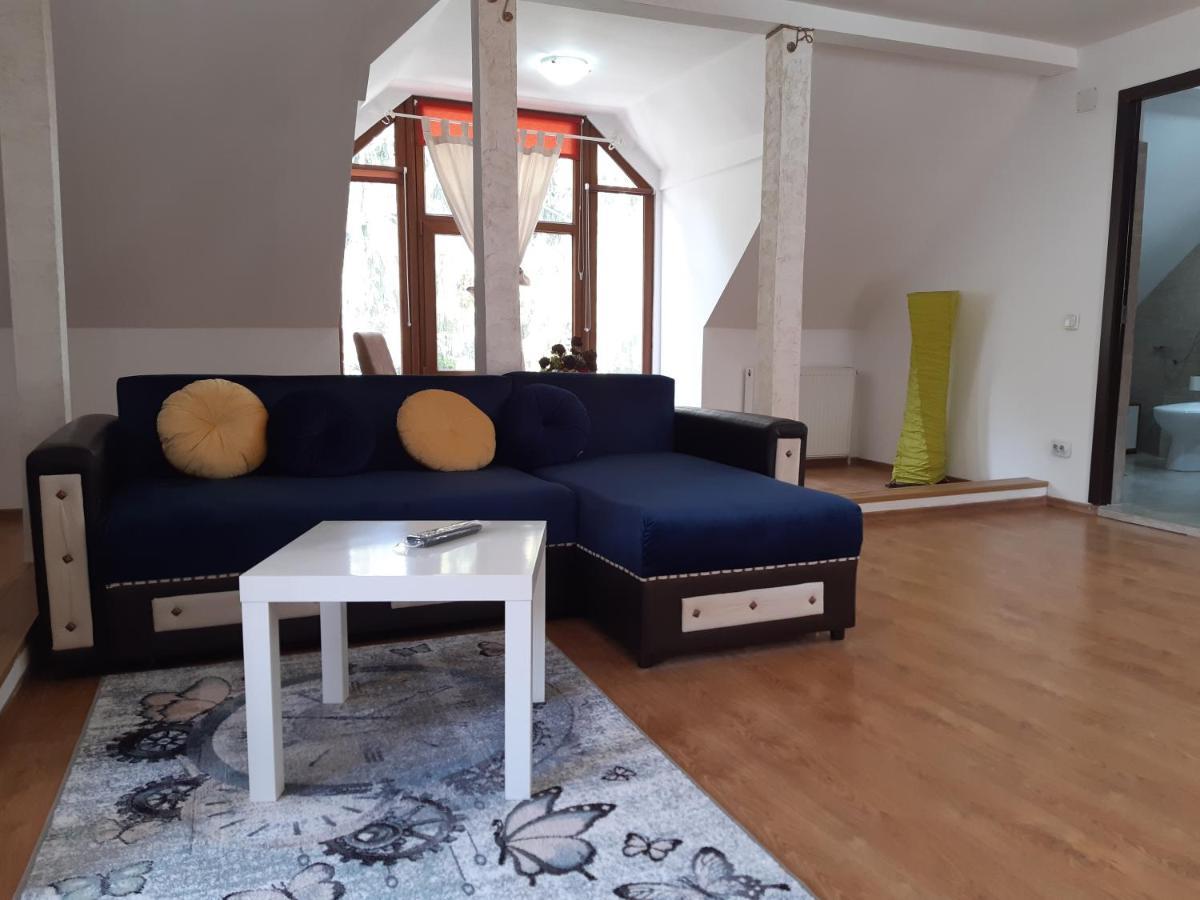 Casa Olguta Appartement Sinaia Buitenkant foto