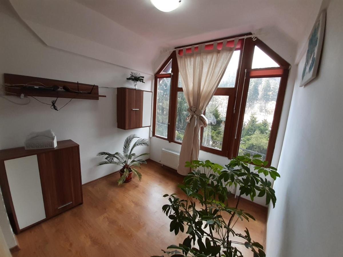 Casa Olguta Appartement Sinaia Buitenkant foto