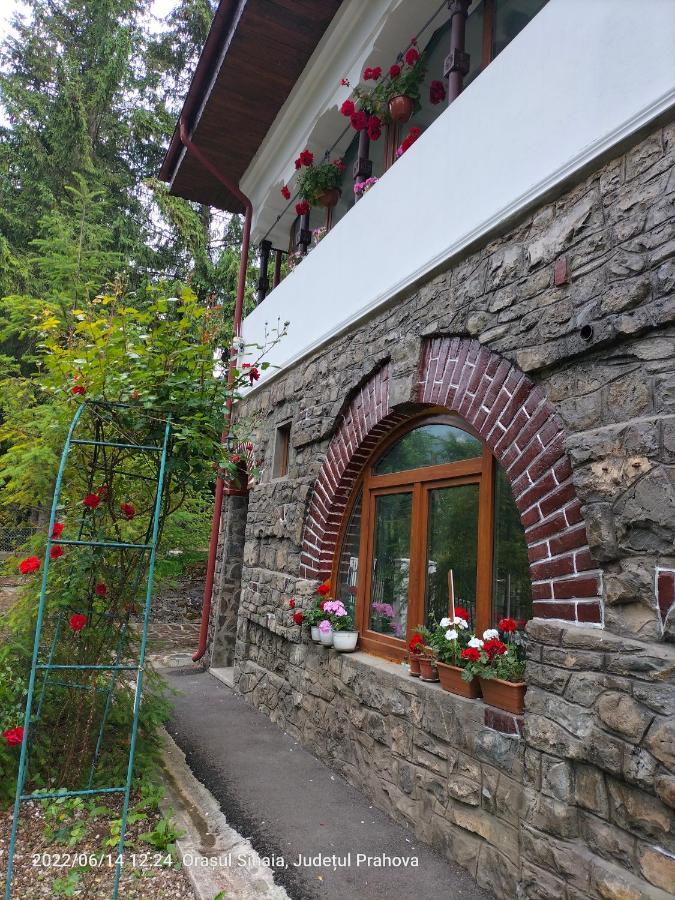 Casa Olguta Appartement Sinaia Buitenkant foto