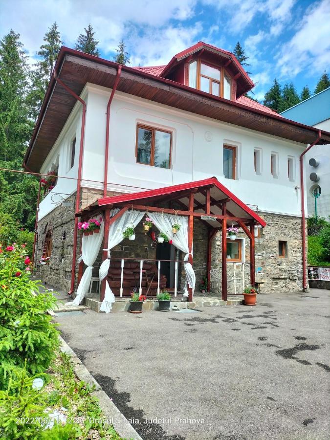 Casa Olguta Appartement Sinaia Buitenkant foto