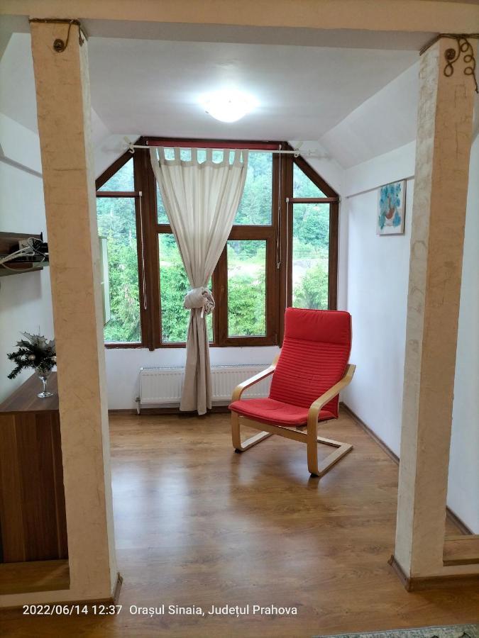 Casa Olguta Appartement Sinaia Buitenkant foto