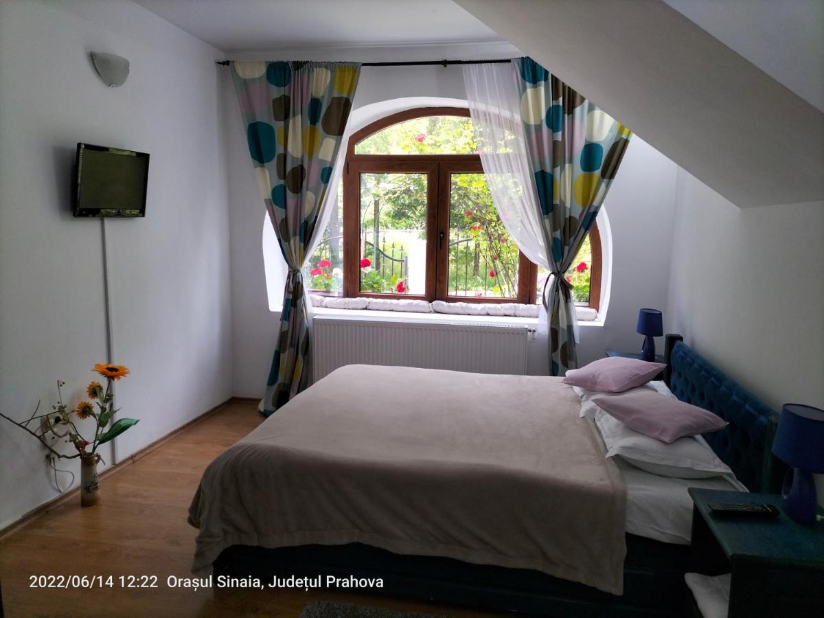 Casa Olguta Appartement Sinaia Buitenkant foto
