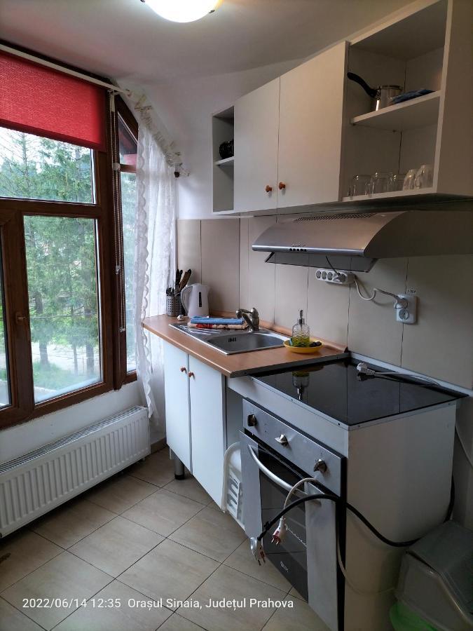 Casa Olguta Appartement Sinaia Buitenkant foto