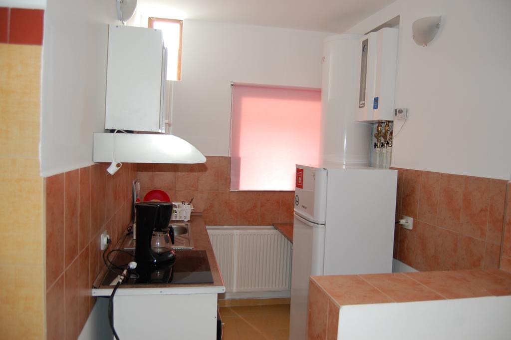 Casa Olguta Appartement Sinaia Kamer foto