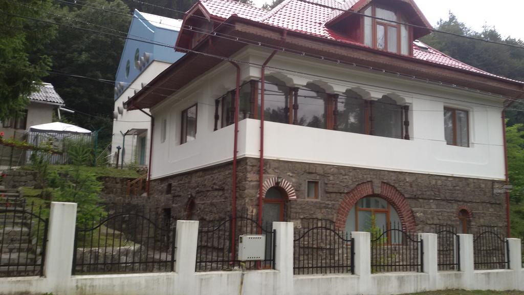 Casa Olguta Appartement Sinaia Buitenkant foto