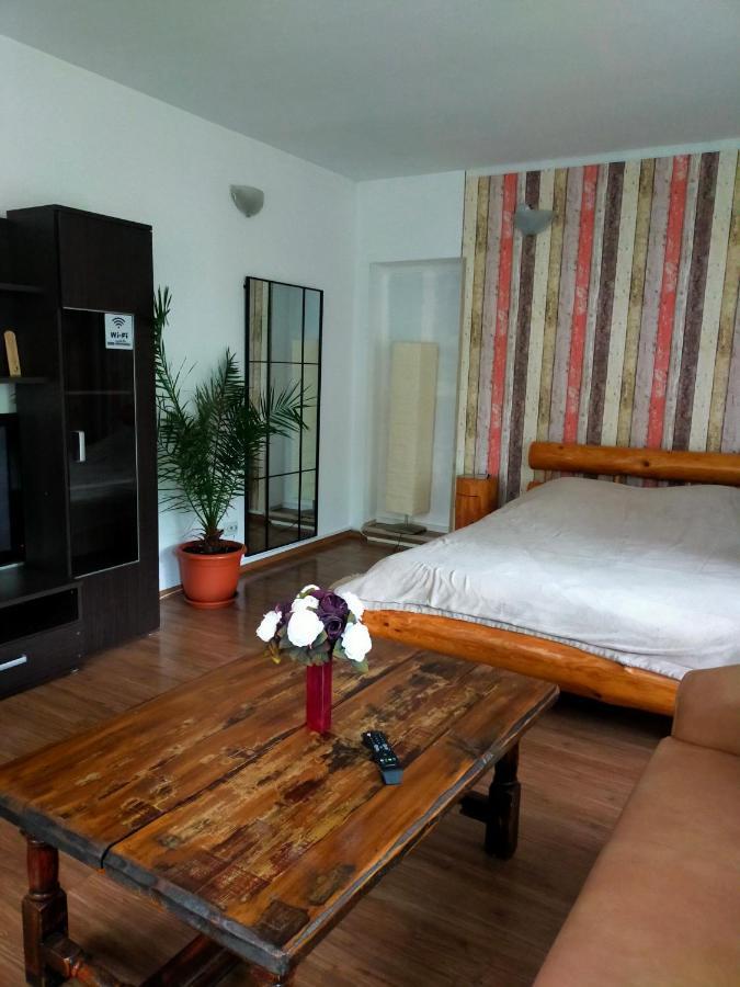 Casa Olguta Appartement Sinaia Kamer foto