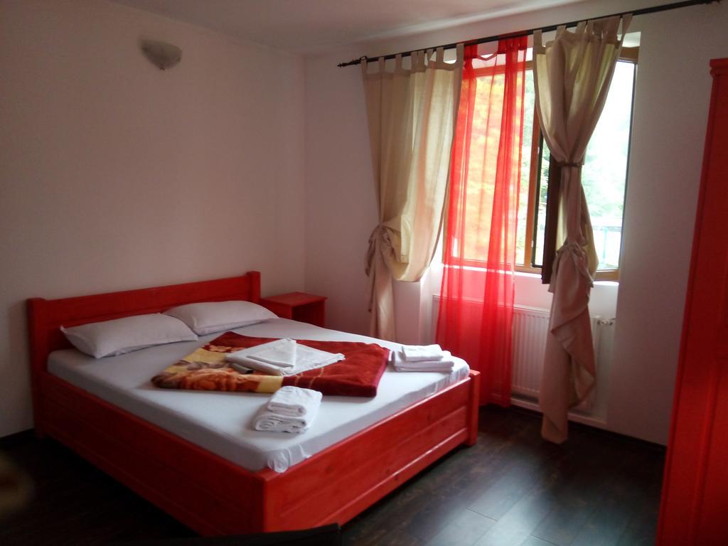 Casa Olguta Appartement Sinaia Buitenkant foto
