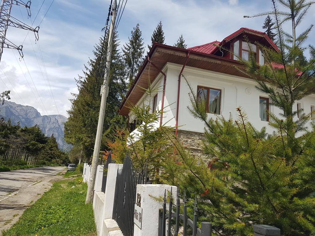 Casa Olguta Appartement Sinaia Buitenkant foto
