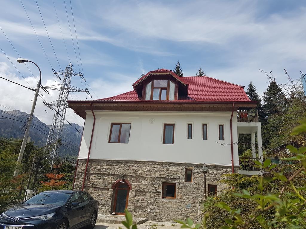 Casa Olguta Appartement Sinaia Buitenkant foto