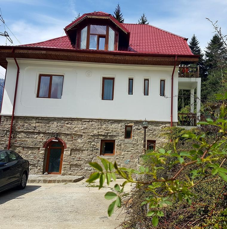 Casa Olguta Appartement Sinaia Buitenkant foto