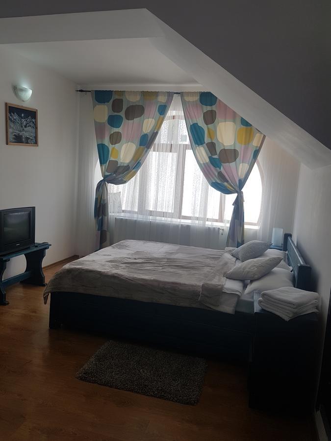 Casa Olguta Appartement Sinaia Buitenkant foto